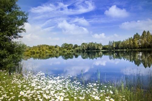 سيرني الجنوبية Lake Pochard Holiday Lodges المظهر الخارجي الصورة